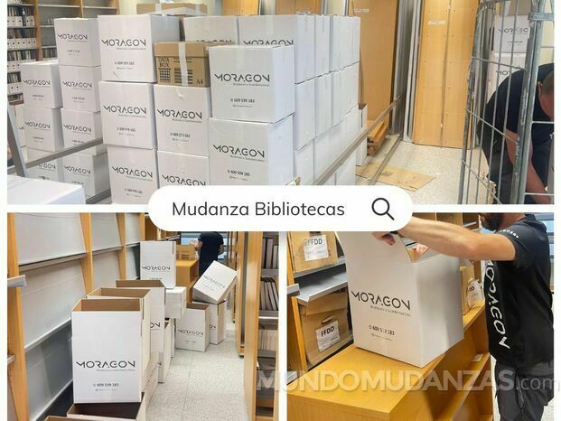 Mudanza Bibliotecas.jpg